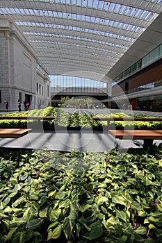 The Ames Atrium in the Cleveland Museum of Art